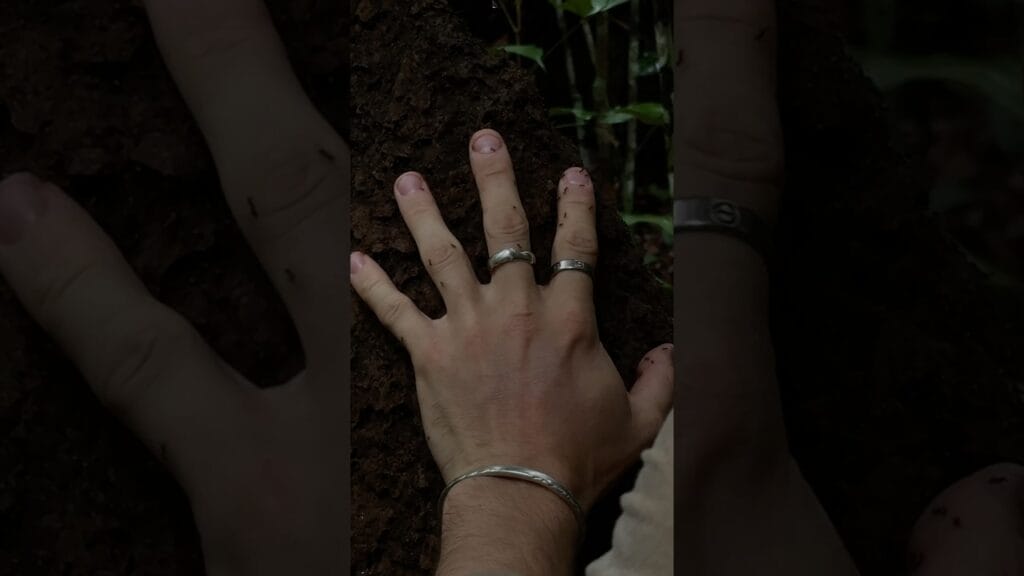 100 ant bites instead of 100 mosquito bites.Would you make that trade?